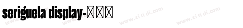 seriguela display字体转换